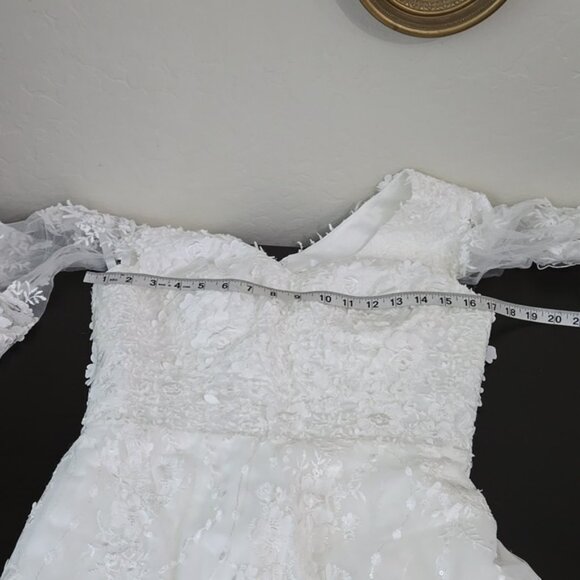 Liz Simon Designed in Calagary Kasey Ivory Wedding Dress with Train SZ 10 - Picture 13 of 15